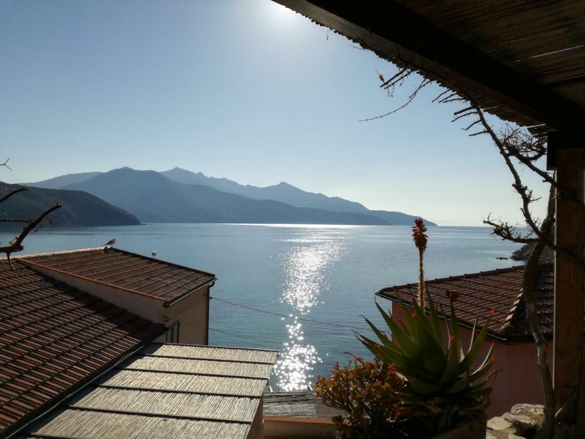 Appartamento La Maison Capoliveri Kültér fotó